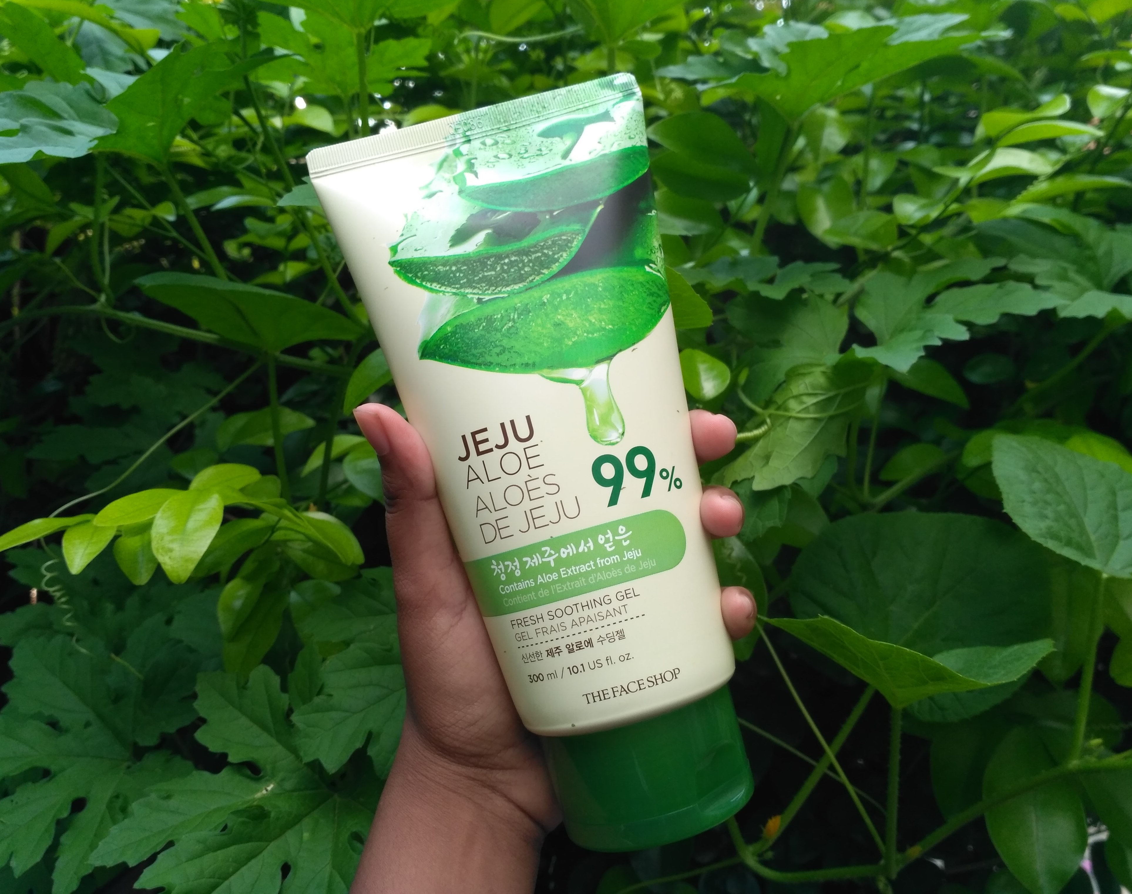 The Face Shop Jeju Aloe Fresh Soothing Gel Review