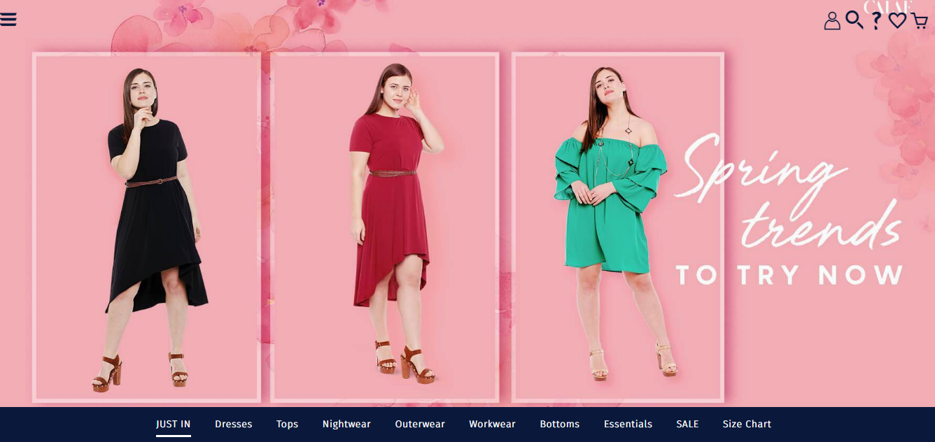 Online Stores in India for Plus Size Beauties