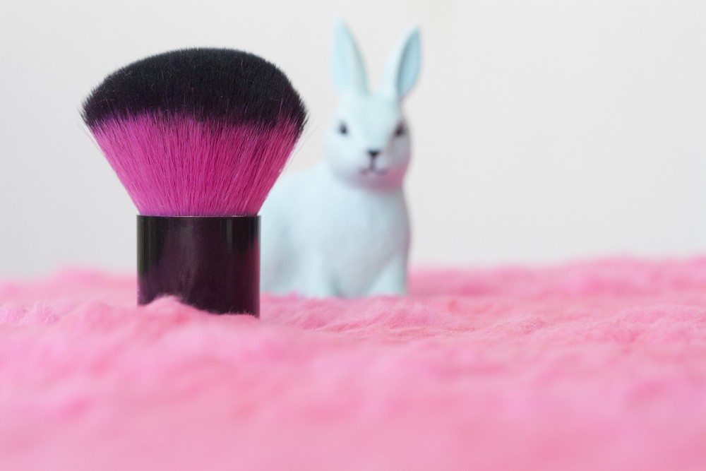 cruelty free makeup