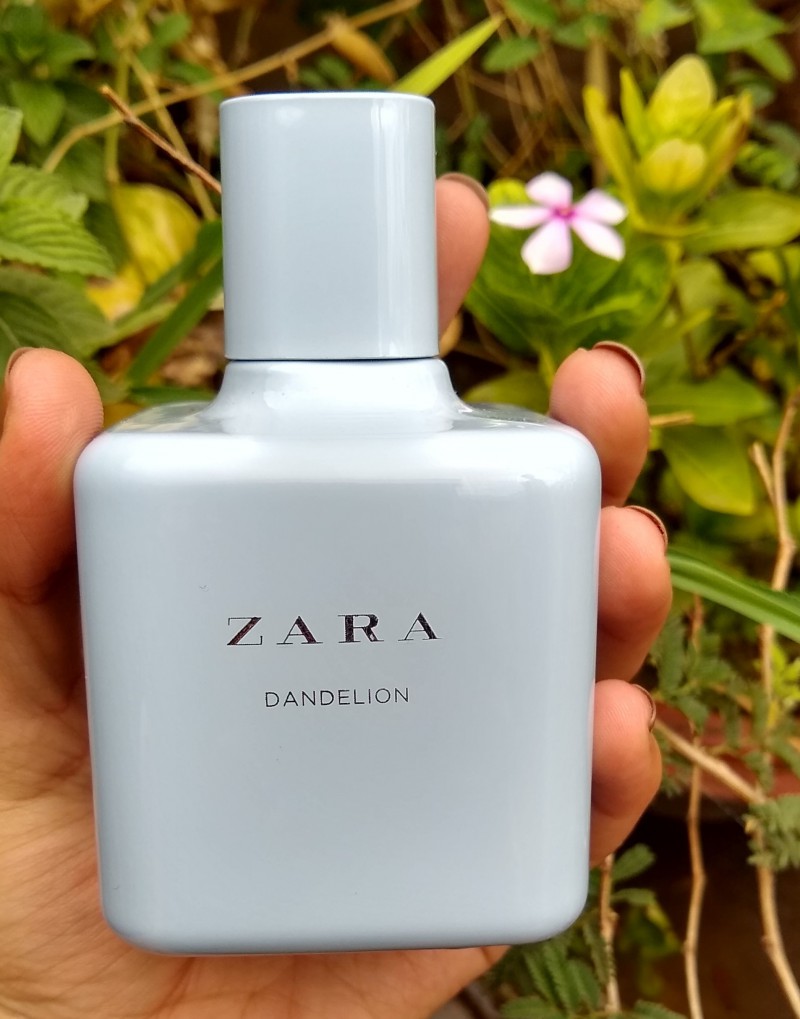 Zara Dandelion Perfume