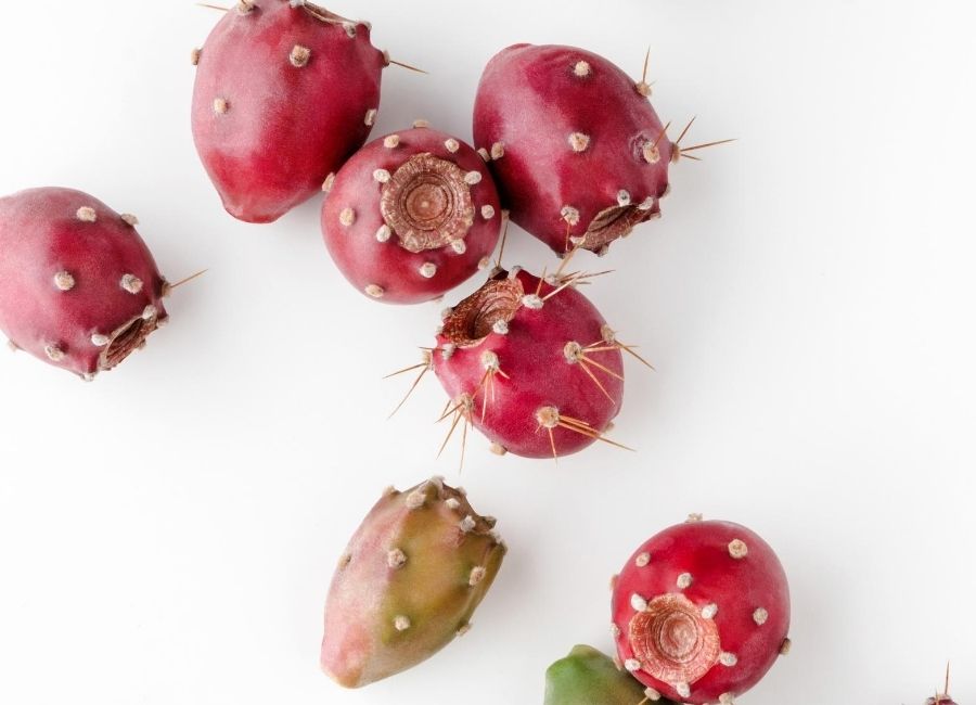 Prickly Pear Oil for skin health hair