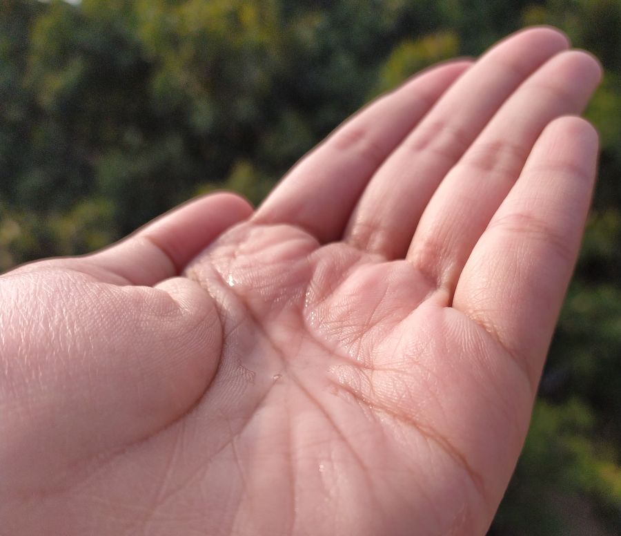 aloe vera coconut hair oil swatch in hand